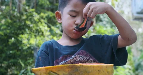 4-5 year asian boy enjoying eat papaya fruit in park outdoor Stock Footage 229936455