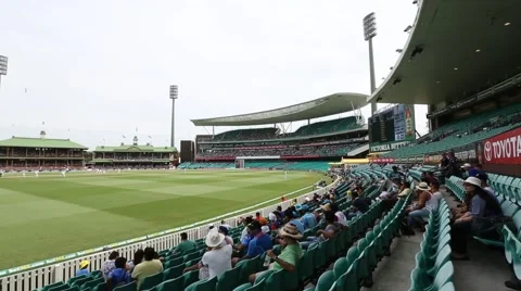 4 being hit at the Sydney cricket ground Stock Footage 52358909