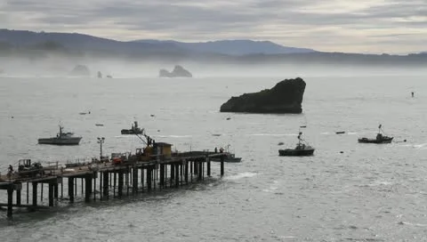 4 boats and a pier Stock Footage