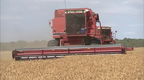 4 Combines maneuver during wheat harvest 스톡 동영상 42342075