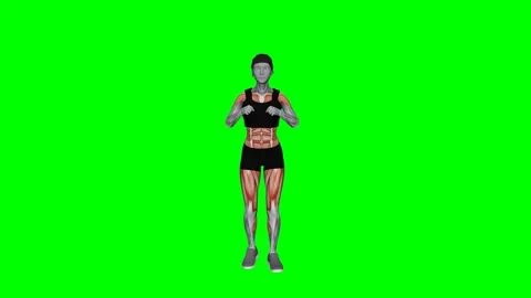 4 Coners Side Step female fitness gym exercise workout animation muscle highligh Vídeos de archivo 247707578