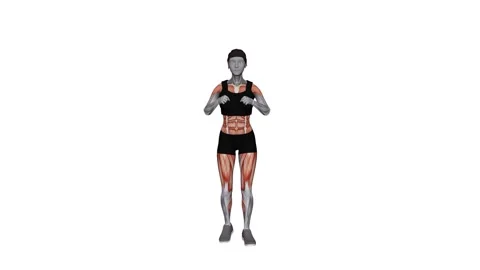 4 Coners Side Step female 1 fitness gym exercise workout animation muscle highli 動画素材 247708415