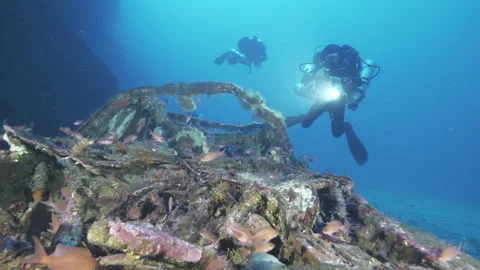 4 Divers approach the front of a car wreck full of Anthias, Giannutri Stock Footage 225426466