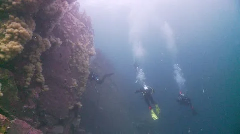 4 divers rock wall 2 Video stock 12537841