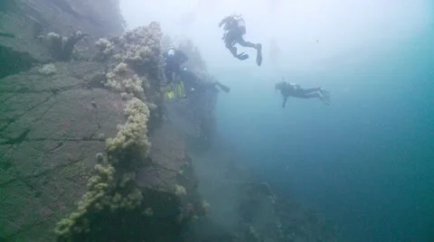 4 divers rock wall Video stock 12536382
