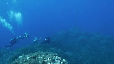 4 divers on the seabed covered with Posidonia, Ustica, Sicily, Mediterranean sea Stock Footage 126670485