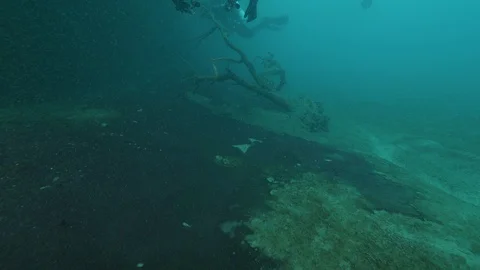 4 divers swim at the bottom of the lake passing over a log,S.Domenico lake,Italy Stock Footage 108671106