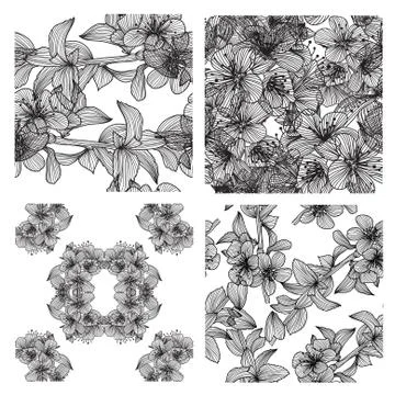 4 elegant seamless patterns with decorative cherry blossom, design elements Stock Illustration