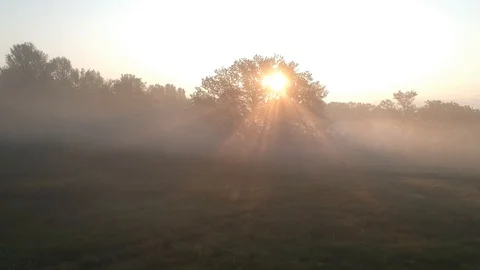 4 flying over a dawn meadow in the fog. cyclist walk Stock Footage 123402843