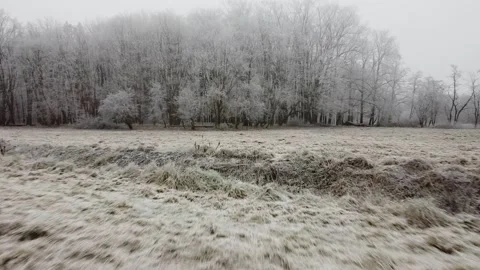 4 flying over a field, grass and trees in frost Stock-Footage 267405776