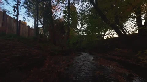 4. FPV Drone Passing Through Trees Above a Creek at Sunset Stock Footage 319364100