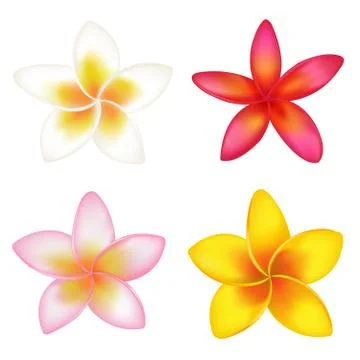 4 fragipani Stock Illustration