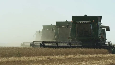 4 harvesters passing Stock Footage
