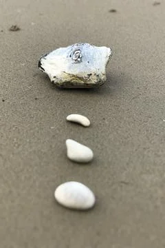 4 irregular shape stones isolated on grey wet sandy beach  Stock Photos