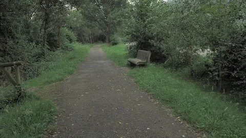 4 k camera walking on countryside road full of grean leaves, trees, grass and Stock Footage 93213771
