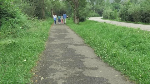 4 k camera walking on countryside road full of grean leaves, trees, grass and Stock Footage 93213831