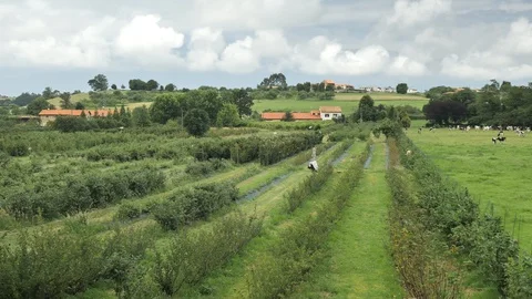 4 k Country side view of Asturian green fields, cosy planted hills, chalets Stock Footage 92531035