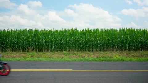 4 K Motorcycle rides by Corn field slow motion Stock Footage 245668789