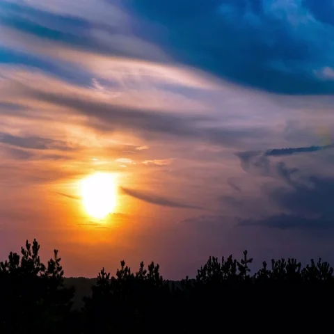  4 K. Sunset over trees  in red  and blue sky with clouds.  Time lapse  without  Stockbeeldmateriaal 69328212