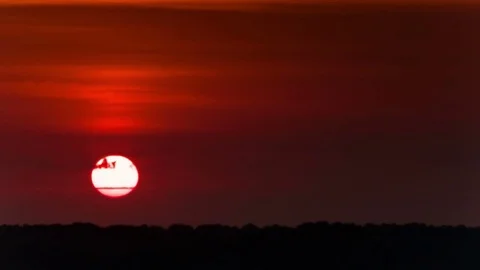  4 K.Red dramatic sun  on red sky with clouds.  Time lapse  without birds 库存影片 70418965