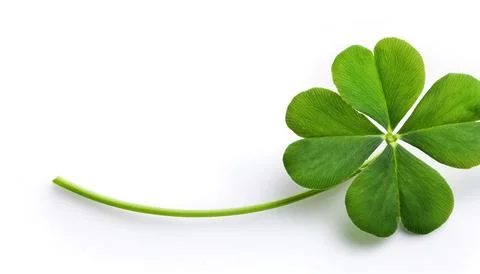 4 leaf leafed clover, green color.  a symbol of good luck charm icon,  Irel.. Stock Photos