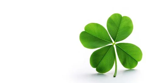 4 leaf leafed clover, green color.  a symbol of good luck charm icon,  Irel.. Stock Photos