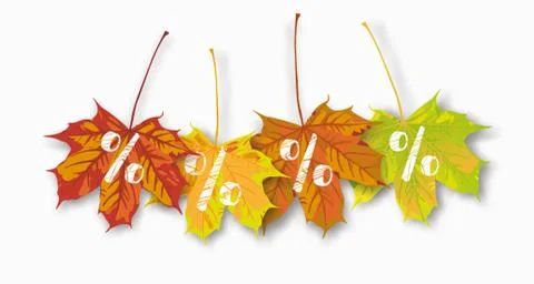 4 Maple Leaves Percents Stock Illustration