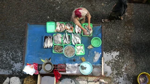 4 May 2024, Jakarta-High angle view of fish seller at the fish market. Stock Footage 274701252