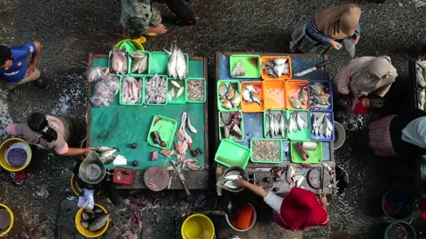 4 May 2024, Jakarta-High angle view of fish seller at the fish market. Stock Footage 274701257
