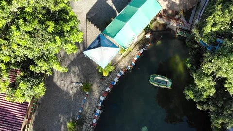 4 PLAMAS Stock Footage 136203815