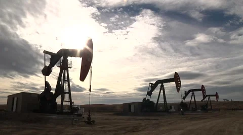 4 Pumping Units Sunflair Video stock 43032846