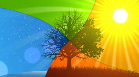 4 Seasons (Animated Background) Stock Footage 667334