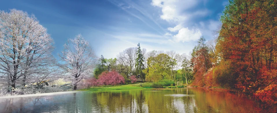 4 seasons Stock Illustration