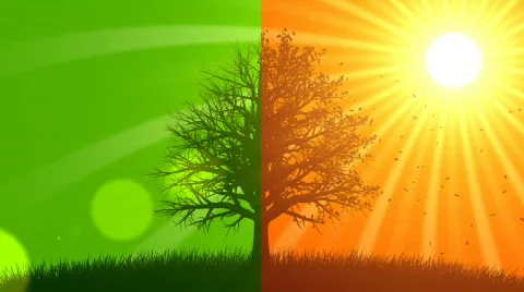 4 Seasons: Spring &amp; Fall (Animated Background) Video stock 667415