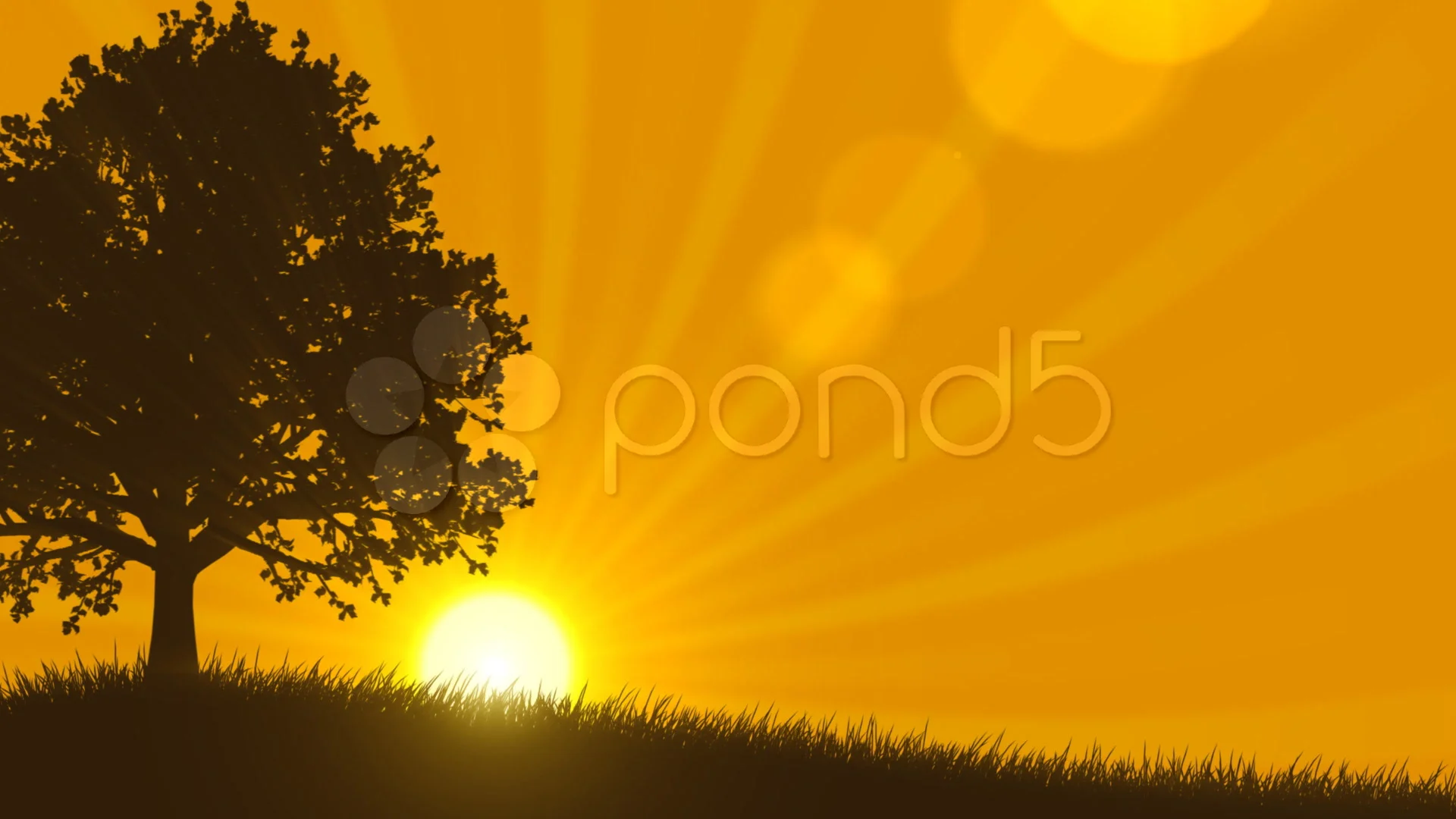 4 Seasons: Summer (Animated Background) | Stock Video | Pond5