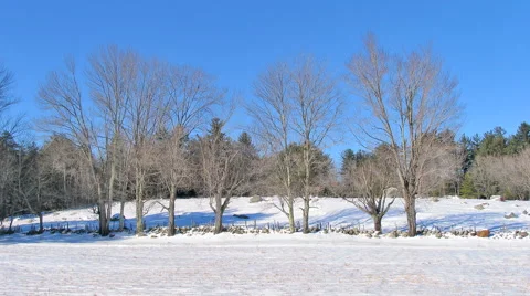 4 Seasons Time Lapse Stock Footage 64800481