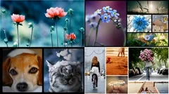 4 slideshow in ONE project!!! (Collection № 1) Stock After Effects