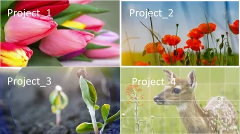 4 slideshow in ONE project!!!  (Collection № 8) 스톡 After Effects