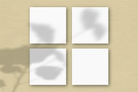 4 square sheets of white textured paper on the yellow wall background. Mockup Stock Illustration