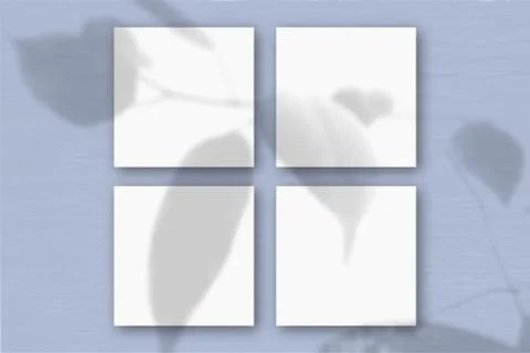 4 square sheets of white textured paper on the blue wall background. Mockup o Stock Illustration