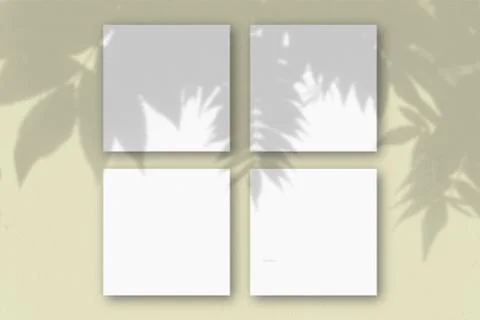 4 square sheets of white textured paper on the blue wall background. Mockup o Stock Illustration