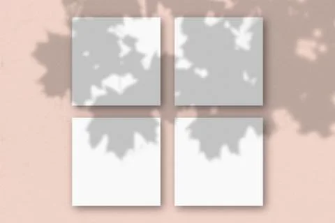 4 square sheets of white textured paper on the pink wall background. Mockup o Stock Illustration