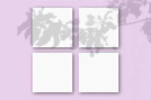 4 square sheets of white textured paper on the pink wall background. Mockup o Stock Illustration