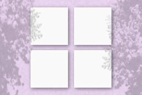 4 square sheets of white textured paper on the pink wall background. Mockup o Stock Illustration