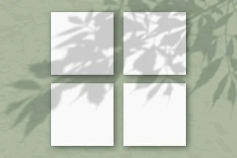 4 square sheets of white textured paper against a green wall. Mockup overlay Stock Illustration