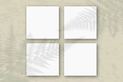 4 square sheets of white textured paper on the gray wall background. Mockup with Stock Illustration