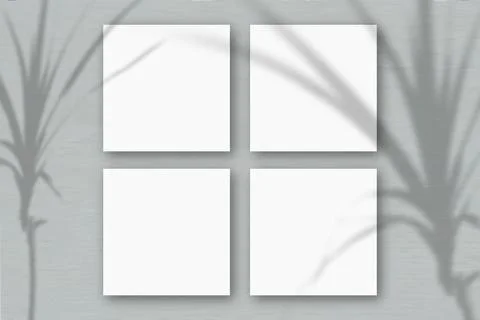 4 square sheets of white textured paper on the gray wall background. Mockup o Stock Illustration