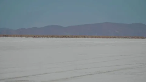 4 SUVs crossing the Salar de Uyuni salt flats in Bolivia Stock Footage 81885927