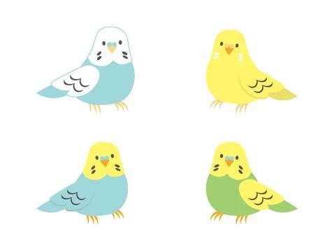 4 types of cute budgerigar illustrations. Stock Illustration