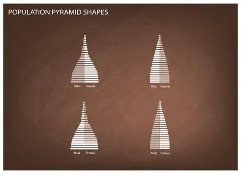 The 4 Types of Population Pyramids Graphs Stock Illustration